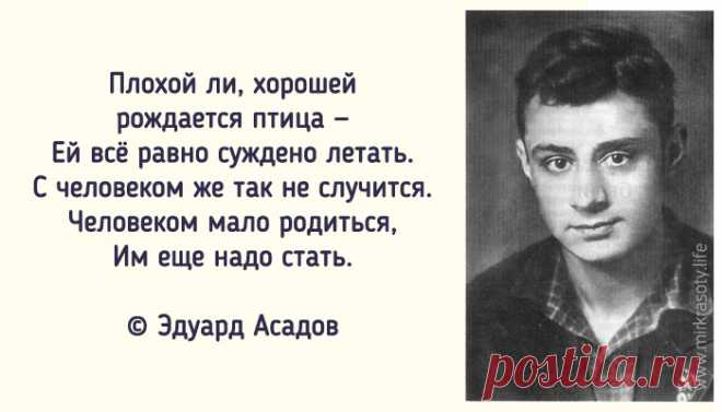 17 лучших стихов Эдуарда Асадова