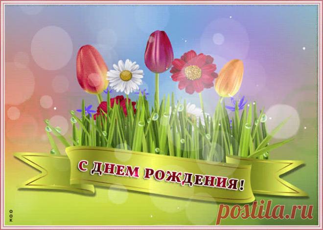 Картинка с днем рождения женщине с тюльпанами - скачать бесплатно. Прикольная анимационная открытка Картинка с днем рождения женщине с тюльпанами - отправить прямо сейчас.