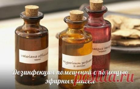 Масла для свежести воздуха