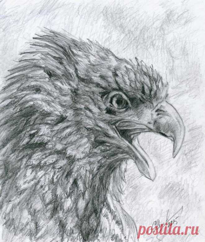 Орел