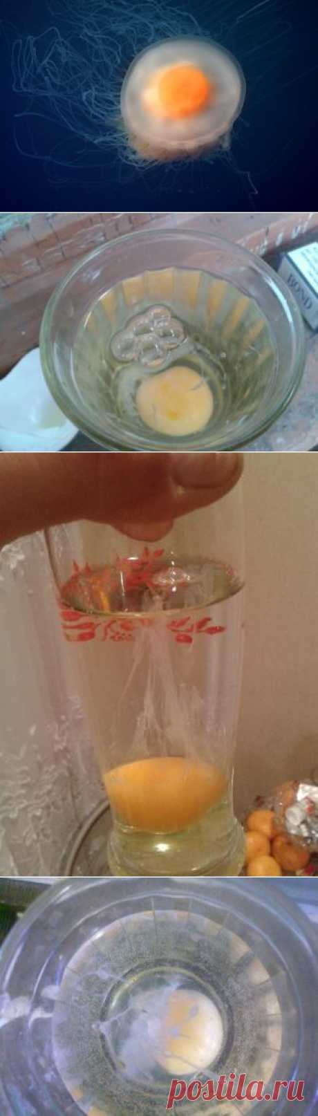 ВЫКАТЫВАНИЕ ПОРЧИ ЯЙЦОМ