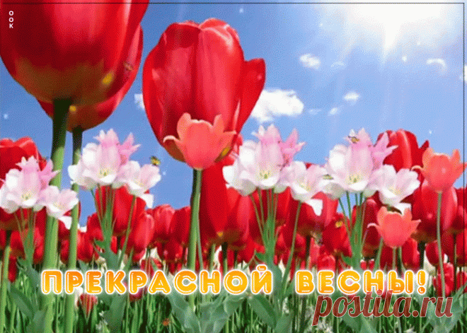 Пожелание прекрасной весны