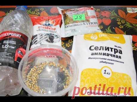 Аммиачная селитра+соль+антинакипин=золото