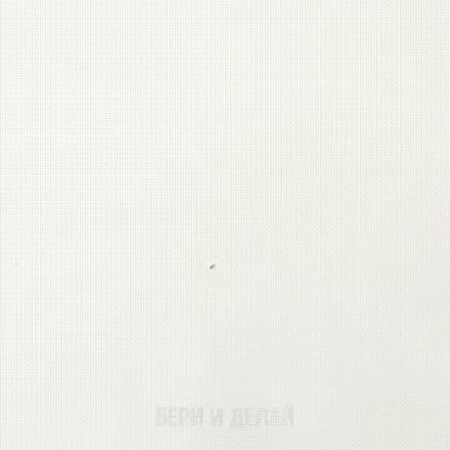 Век живи, век учись