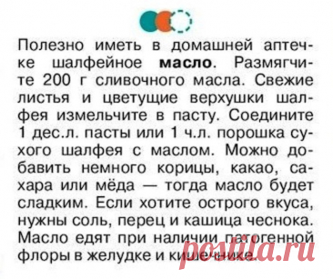 Шалфейное масло от патогенной флоры в желудке и кишечнике