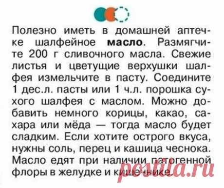Шалфейное масло от патогенной флоры в желудке и кишечнике
