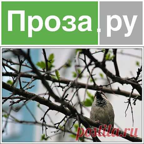 О любви и вере, о том, что волнует каждого человека.