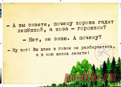 Екатерина Хохуля