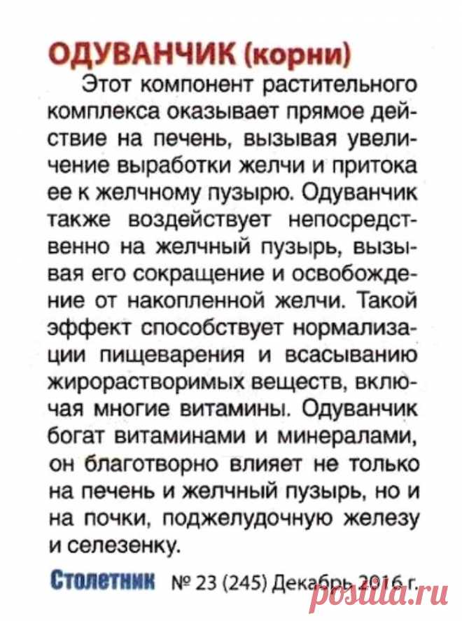 Одуванчик (корни)