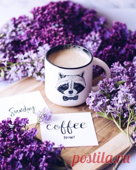 Сирень — это любовь.