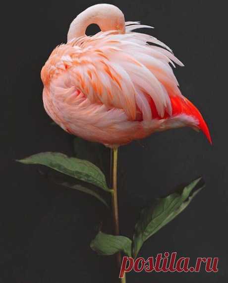 Доброе утро!