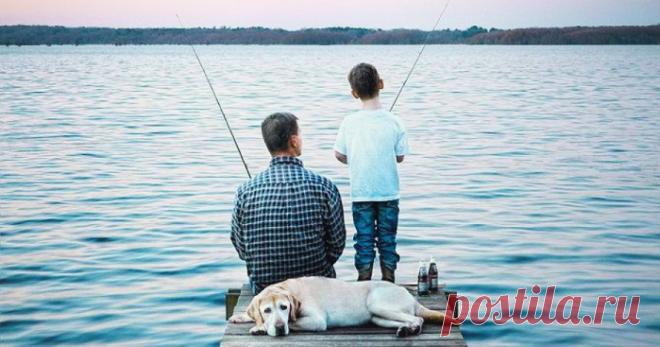 Ни одна сломанная вещь не стоит слез сына – Фитнес для мозга