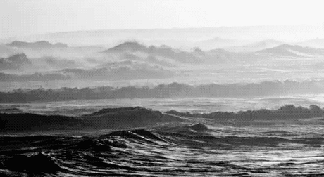 h-2294.jpg (500×274)