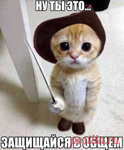 Смешные картинки - 567