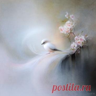 Изображение пина-истории