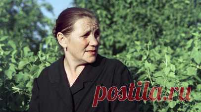 «Юра, что ты натворил?!»: как Лариса Лужина сыграла мать Гагарина в фильме «Так начиналась легенда». В 1976 году на советские экраны вышел фильм «Так начиналась легенда», посвящённый детству Юрия Гагарина. Роль матери первого космонавта Земли, Анны Тимофеевны, сыграла актриса Лариса Лужина. Она рассказала RT о личной встрече с прототипом своей героини, об изменениях в сценарии после этого и о реакции односельчан Гагарина на фильм. Читать далее
