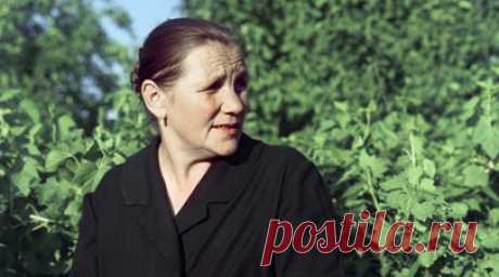 «Юра, что ты натворил?!»: как Лариса Лужина сыграла мать Гагарина в фильме «Так начиналась легенда». В 1976 году на советские экраны вышел фильм «Так начиналась легенда», посвящённый детству Юрия Гагарина. Роль матери первого космонавта Земли, Анны Тимофеевны, сыграла актриса Лариса Лужина. Она рассказала RT о личной встрече с прототипом своей героини, об изменениях в сценарии после этого и о реакции односельчан Гагарина на фильм. Читать далее