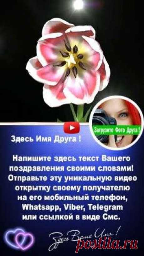 Видео Открытка Тюльпан Интерактивные музыкальные поздравления с Днем рождения. Эксклюзивные поздравления на телефон, это очень необычно оригинально и красиво!