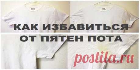 КАК ИЗБАВИТЬСЯ ОТ ПЯТЕН ПОТА | Полезные советы