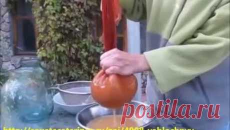 Яблочный уксус. Готовим яблочный уксус дома!