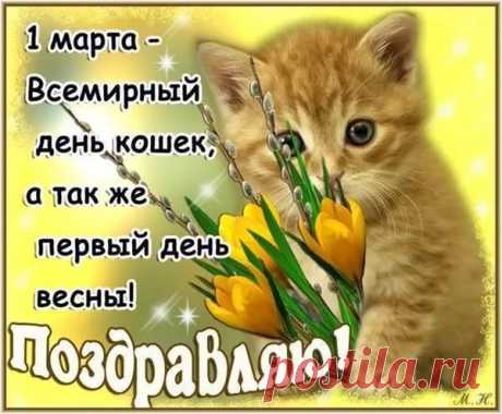 Кошки — милые созданья,
Воплощенье доброты.
Настроенье поднимают
Даже лучше, чем цветы.
