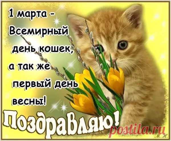 Кошки — милые созданья,
Воплощенье доброты.
Настроенье поднимают
Даже лучше, чем цветы.