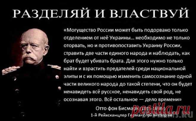 29 Пальм - Клуб путешествий Павла Аксенова > Блог Павла Аксенова
