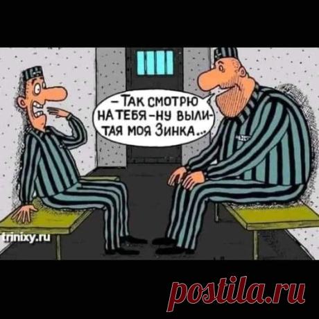(20+) Facebook