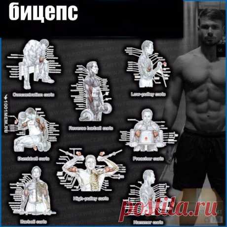 Полная прокачка всего тела 💪 / Спорт Сильных!
