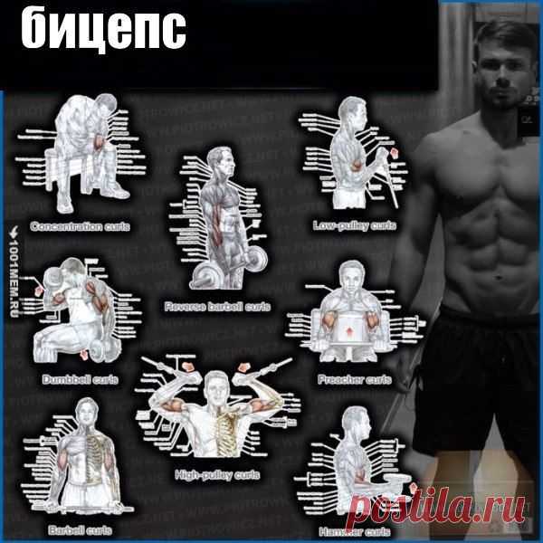 Полная прокачка всего тела 💪 / Спорт Сильных!