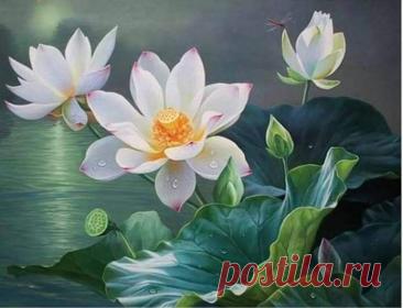 Пин на доске яЛОТОС