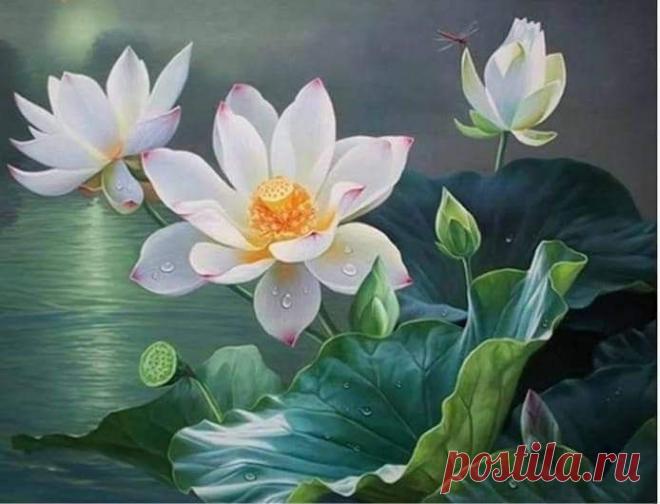 Пин на доске яЛОТОС