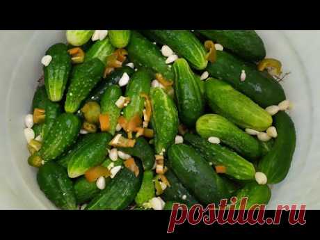 СОЛЕНЫЕ ОГУРЦЫ В БОЧКЕ. Идеальный рассол!😋