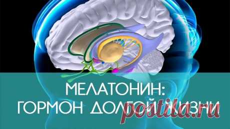 МЕЛАТОНИН-ЗАЛОГ ДОЛГОЛЕТИЯ

Что делать, чтобы увеличить выработку мелатонина?
Конечно, вы слышали о гормоне сна — мелатонине. Его также называют гормоном жизни и долголетия.
Мелатонин не только производится в организме, он также поступает из некоторых продуктов или его можно вводить в организм в виде лекарств и добавок.
Как производится мелатонин?
Мелатонин продуцируется эпифизом (шишковидная железа). Под действием солнечного света триптофан-аминокислота превращается в сер...
