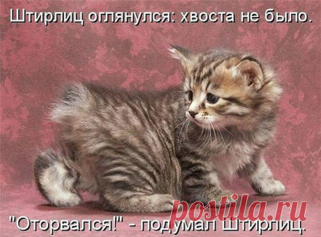 Валюша: Не предлагайте Дружбу --Мимоходом, -Порою даже не Сказав; &quot;Привет&quot; Не собиратель Я кол-ва Народа.. Друзей по Тысячи, поверьте Нет !!..