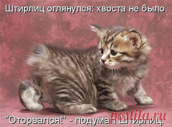 Валюша: Не предлагайте Дружбу --Мимоходом, -Порою даже не Сказав; "Привет" Не собиратель Я кол-ва Народа.. Друзей по Тысячи, поверьте Нет !!..