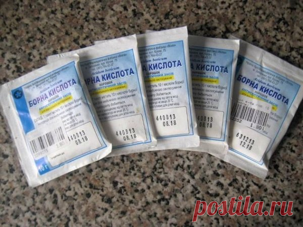 Супер-средство для увеличения завязи на огурцах. Проверенный способ!