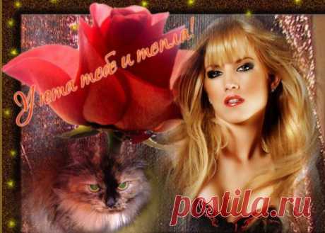 i-21828.jpg (600×429)