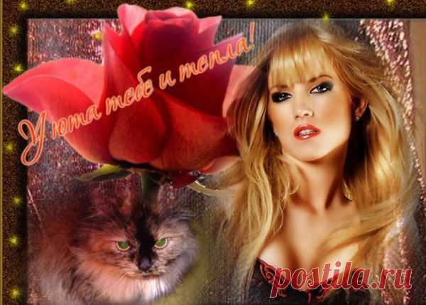 i-21828.jpg (600×429)