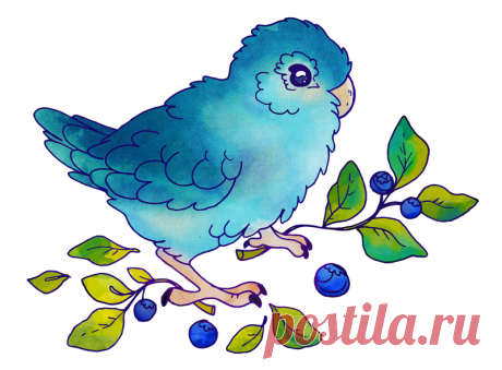 Blueberry, the best birb by nettlebeast on DeviantArt