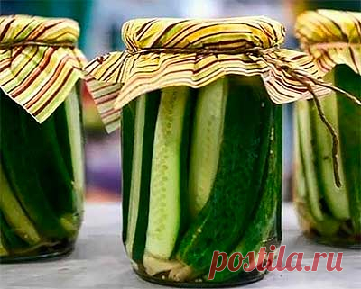Маринованные огурцы: фото рецепт, пошаговый, приготовление