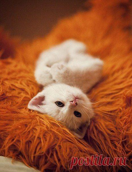 Как ухаживать за пятками: комплекс процедур