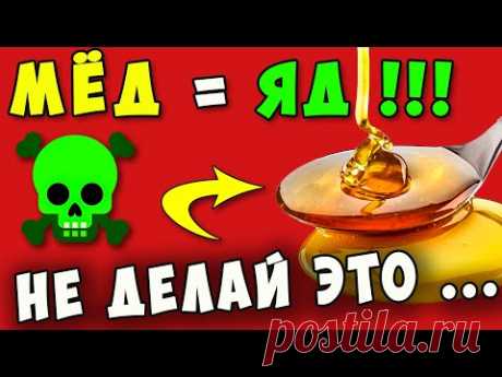 90% употребляющих даже НЕ ЗНАЮТ об этом! Что творит МЁД с ТЕЛОМ
