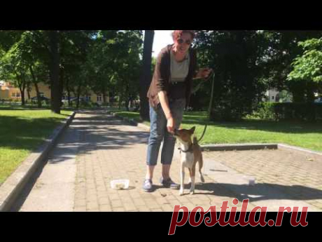 Отучаем от подбора, урок 8