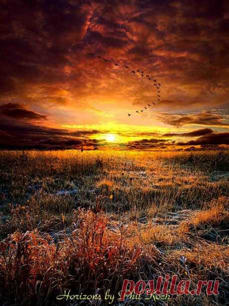 Фотограф Phil Koch