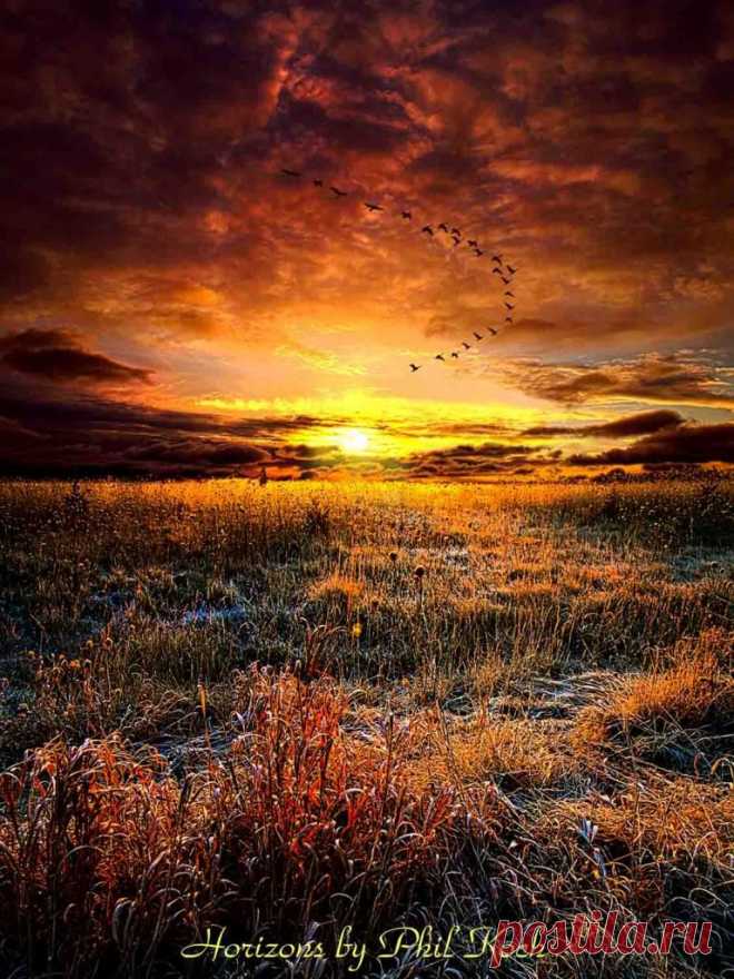 Фотограф Phil Koch
