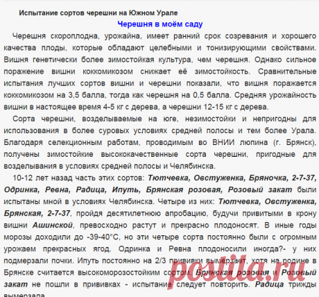 Испытание сортов черешни на Южном Урале - Сады Сибири