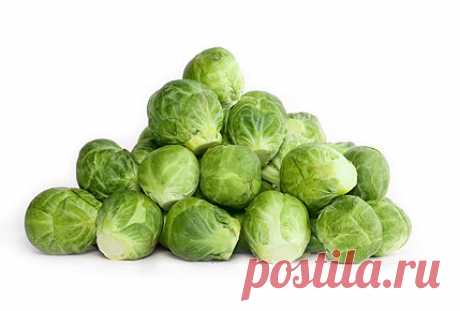 10 продуктов, которые спасут от рака | Golbis