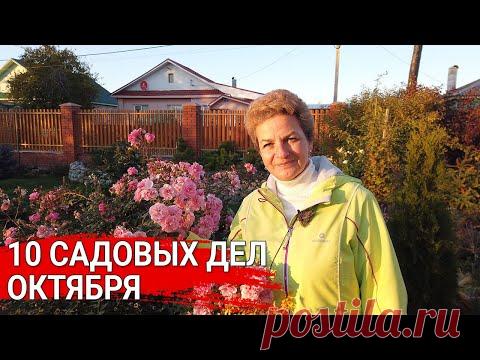 10 садовых дел октября - YouTube