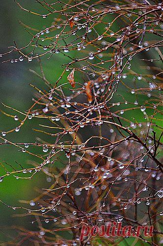 kaikups — «Многоэтажку заселили полностью...» на Яндекс.Фотках